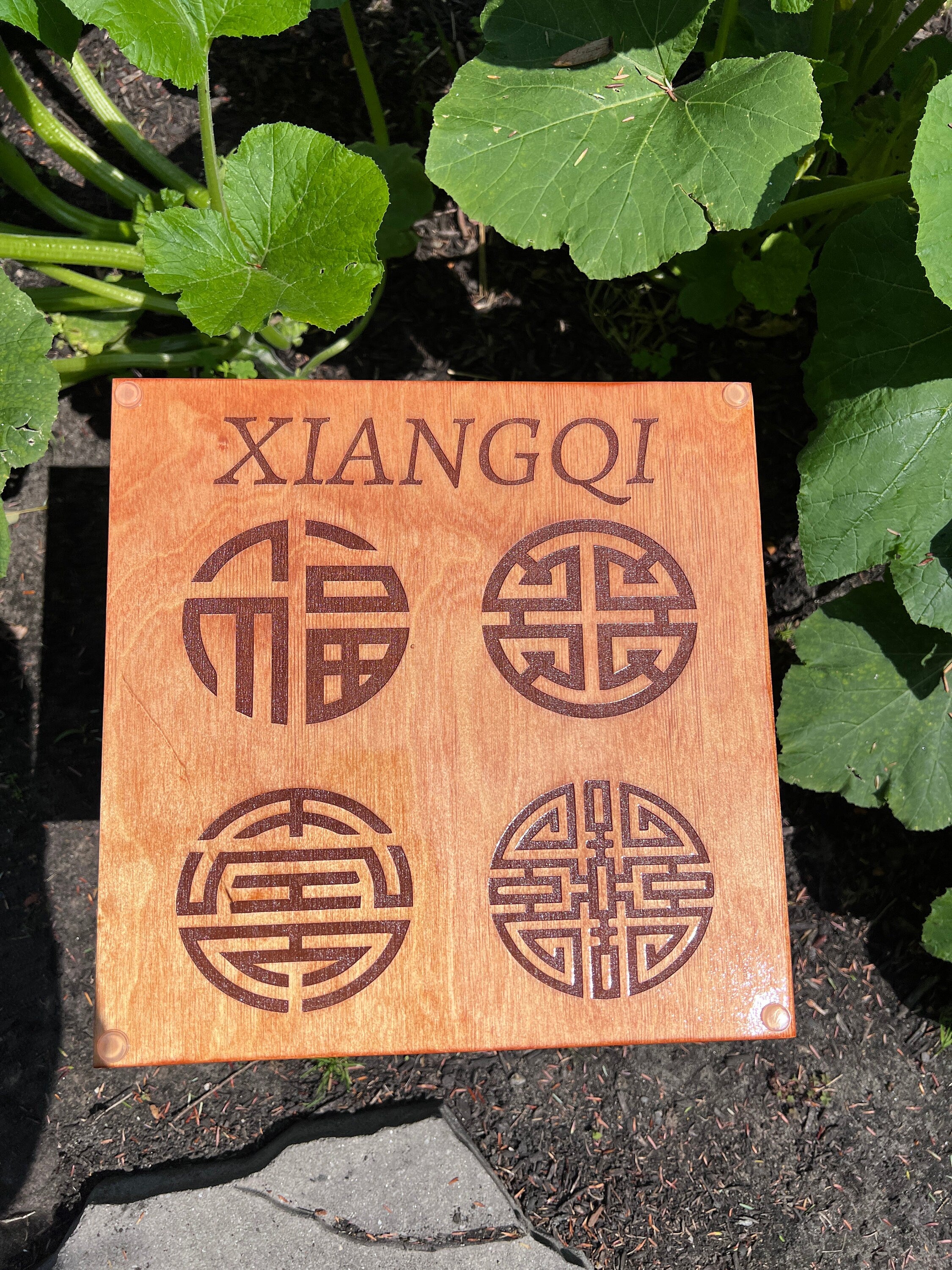 Handmade Wooden Chinese Chess Set aka Xiangqi | Personalized | Back is Engraved